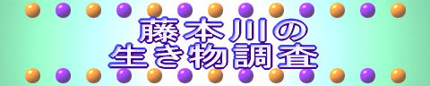 �w�Z