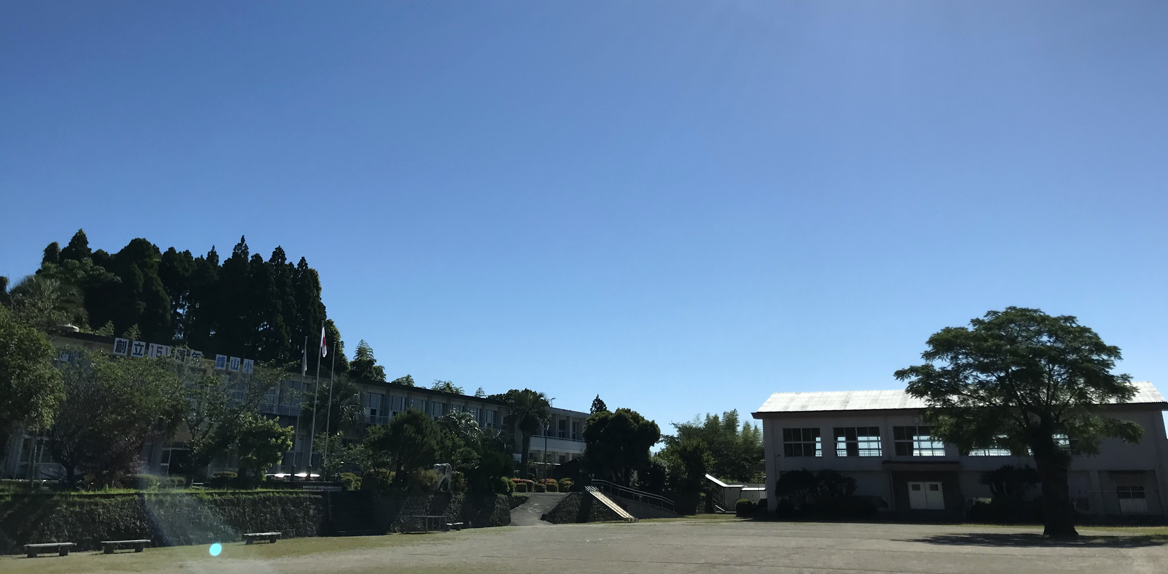 山政小山園　式部の昔　30g＊4 玉露・煎茶（狭山茶）ギフト（玉露 茶葉80g・煎茶 茶葉 100g