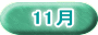 11月